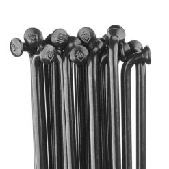 Dt-swiss Champion Eger - Det Traditionelle