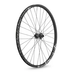 Dt-swiss FR 1950 Classic 30 Disc BOOST 29" MTB Front Wheel