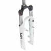 RST Dirt RA 100 26" MTB Suspension Fork -Rimber Butik 6E575B62542243FA1BE82DBE89C18D0B