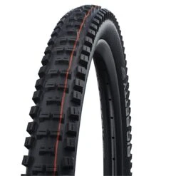 Schwalbe Big Betty Evolution Super Gravity ADDIX Soft TLE MTB Folding Tyre