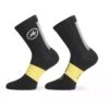 ASSOSOIRES SPRING FALL SOCKS